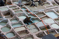 Fess, leather workshop