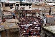 Fess: Leather workshop