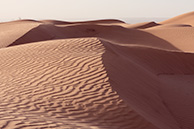 The Sahara: Wind and Blankness