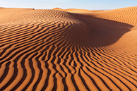 Sahara