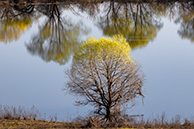 Разлив в Мурмино