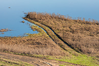 Разлив Оки в Мурмино