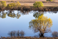 Разлив Оки в Мурмино