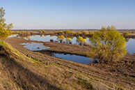 Разлив Оки у Мурмино