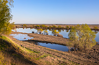 Мурмино весной в разлив Оки