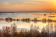 Разлив Оки в Старой Рязани