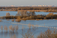 Рязань из Пощупово