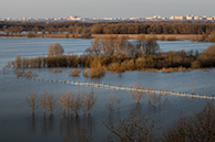 Разлив Оки в Пощупово