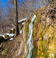 Радужный весной