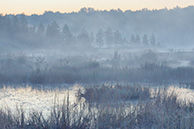 Рассвет на Галкинском болоте