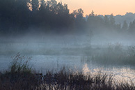 Галкинское болото