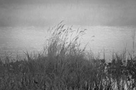 Галкинское болото