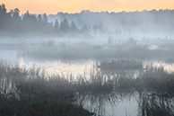 Галкинское болото