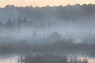 Галкинское болото