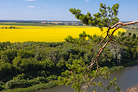 Лето в Кривоборье