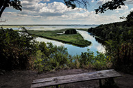 Белая гора, Воронеж