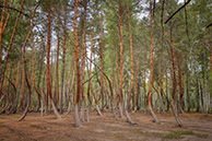 Шиловская аномалия