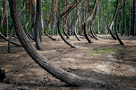 Шиловская аномалия