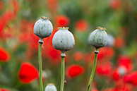 CU7A7771
