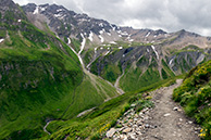 Path to Ferret