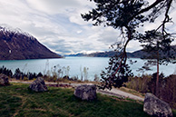 _MG_0154