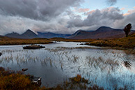 Glencoe