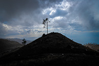 Mountain Funchal view