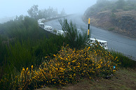 Pico Arieiro road