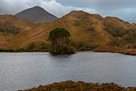 Fort William