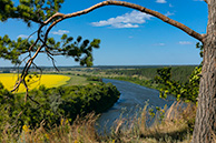 Кривоборье, река Дон