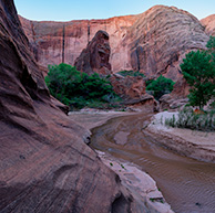 Idol at Coyote Buttes
