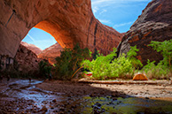 Jacob's Hamblin arch