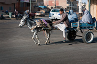 Siwa