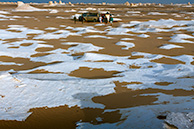 White Desert