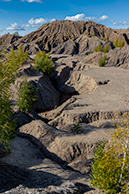 1I0A2168