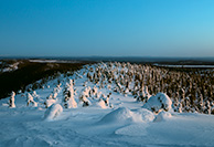Valtavaara