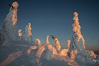 Valtavaara