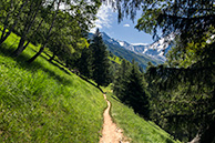 The path to Ref. Miage