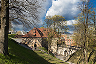 _MG_9668