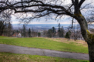 Holmencollen view