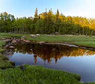 IMG_9617