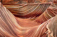 The wave