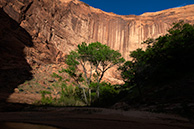 Coyote Gulch