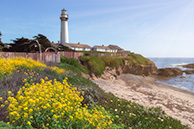 Pigeon Point