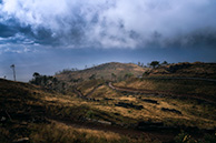 Madeira