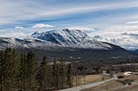 _MG_9977
