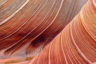 The wave