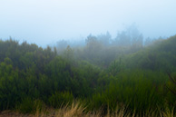 Pico Ariero fogs