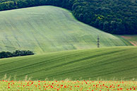Leas and hills