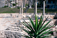 Alexandria